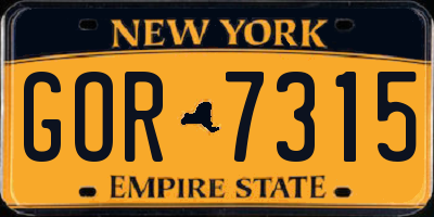 NY license plate GOR7315