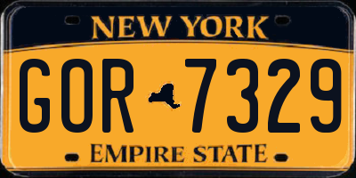 NY license plate GOR7329