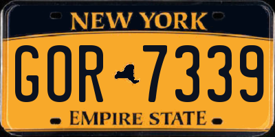 NY license plate GOR7339