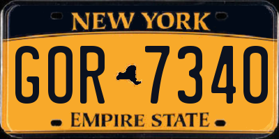 NY license plate GOR7340