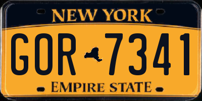 NY license plate GOR7341