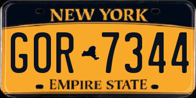 NY license plate GOR7344