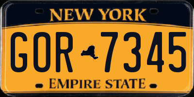 NY license plate GOR7345