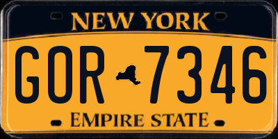 NY license plate GOR7346