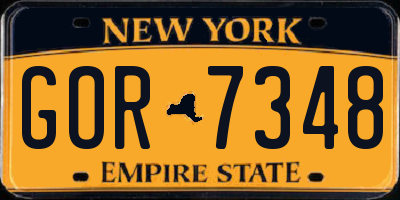 NY license plate GOR7348