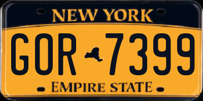 NY license plate GOR7399