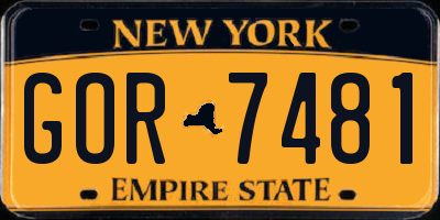 NY license plate GOR7481