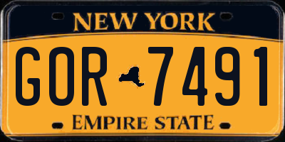 NY license plate GOR7491