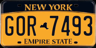 NY license plate GOR7493