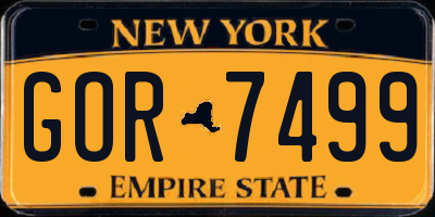NY license plate GOR7499