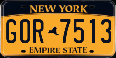 NY license plate GOR7513
