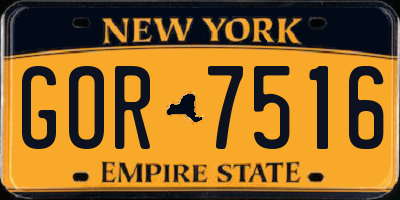 NY license plate GOR7516