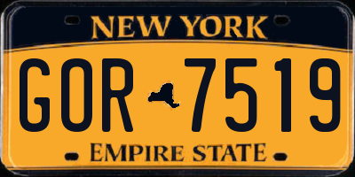 NY license plate GOR7519