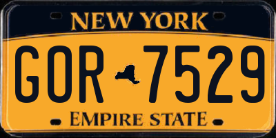 NY license plate GOR7529