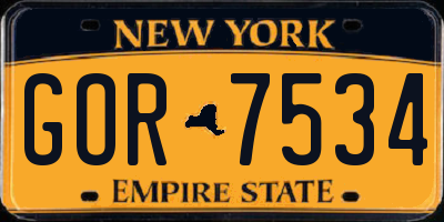 NY license plate GOR7534