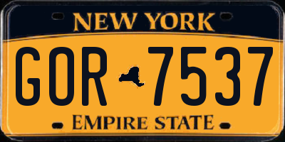 NY license plate GOR7537