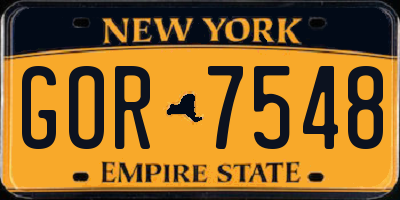 NY license plate GOR7548