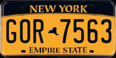 NY license plate GOR7563