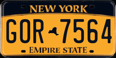 NY license plate GOR7564