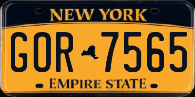 NY license plate GOR7565