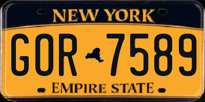 NY license plate GOR7589