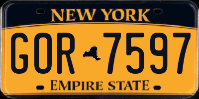 NY license plate GOR7597
