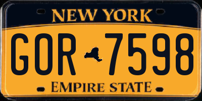 NY license plate GOR7598