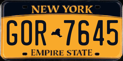 NY license plate GOR7645
