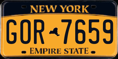 NY license plate GOR7659