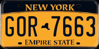 NY license plate GOR7663