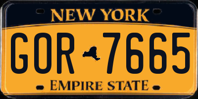 NY license plate GOR7665