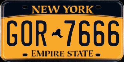NY license plate GOR7666