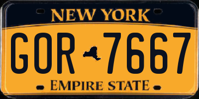 NY license plate GOR7667