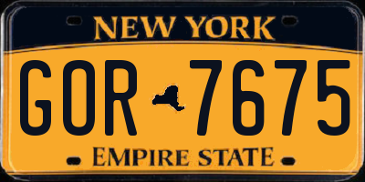 NY license plate GOR7675