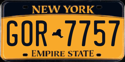 NY license plate GOR7757