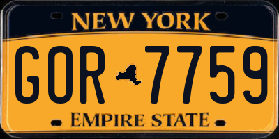 NY license plate GOR7759