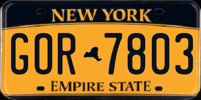 NY license plate GOR7803