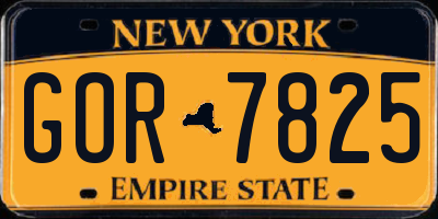 NY license plate GOR7825