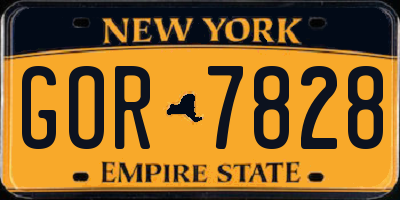 NY license plate GOR7828