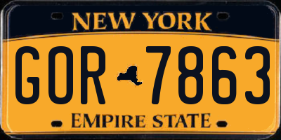 NY license plate GOR7863