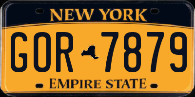 NY license plate GOR7879