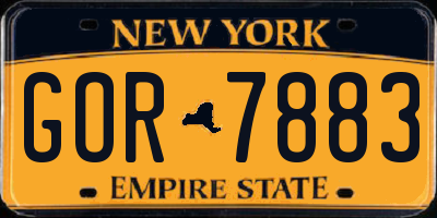 NY license plate GOR7883