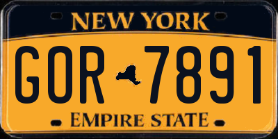 NY license plate GOR7891