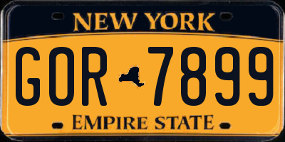 NY license plate GOR7899