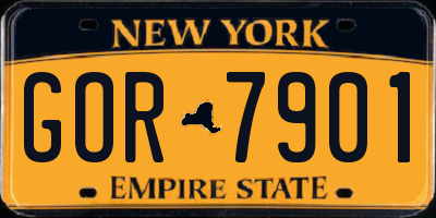 NY license plate GOR7901