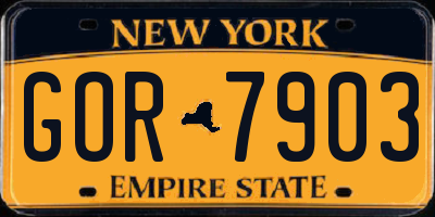 NY license plate GOR7903