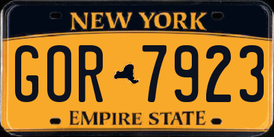 NY license plate GOR7923