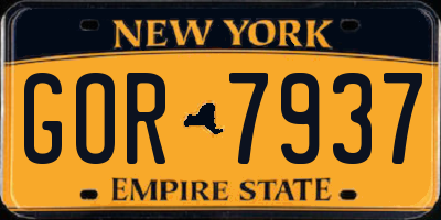 NY license plate GOR7937