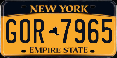 NY license plate GOR7965