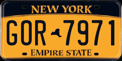 NY license plate GOR7971